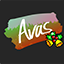Logo serwera avas.cc