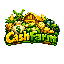 Logo serwera cashfarm.pl