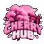 Logo serwera cherryhub.pl