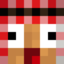 Logo serwera derpmc.com