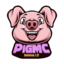 Logo serwera pigmc.pl
