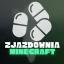 Logo serwera zjazdownia.eu